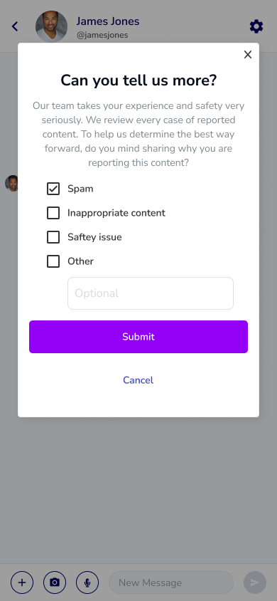 A Screenshot of how to report a message within a conversation of the SwayDM app